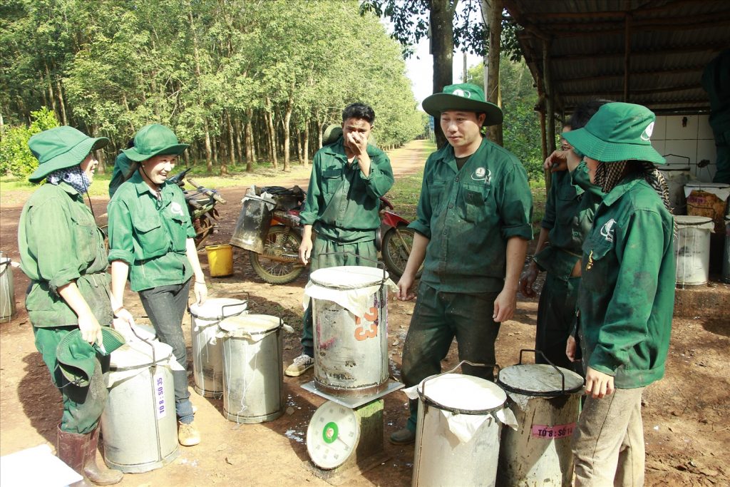 Cao su Đồng Phú: Tinh gọn bộ máy theo mô hình quản lý 2 cấp, nâng cao hiệu quả hoạt động